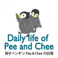 billiards_line_stamp_daily_penguin